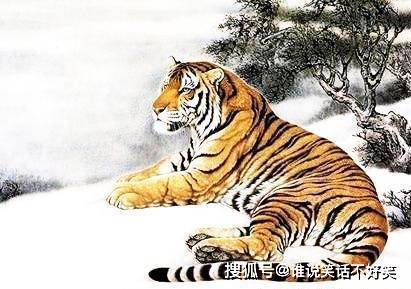 欲钱买一统江山的正确生肖动物的全面释义、解释与落实、时代解答解释落实