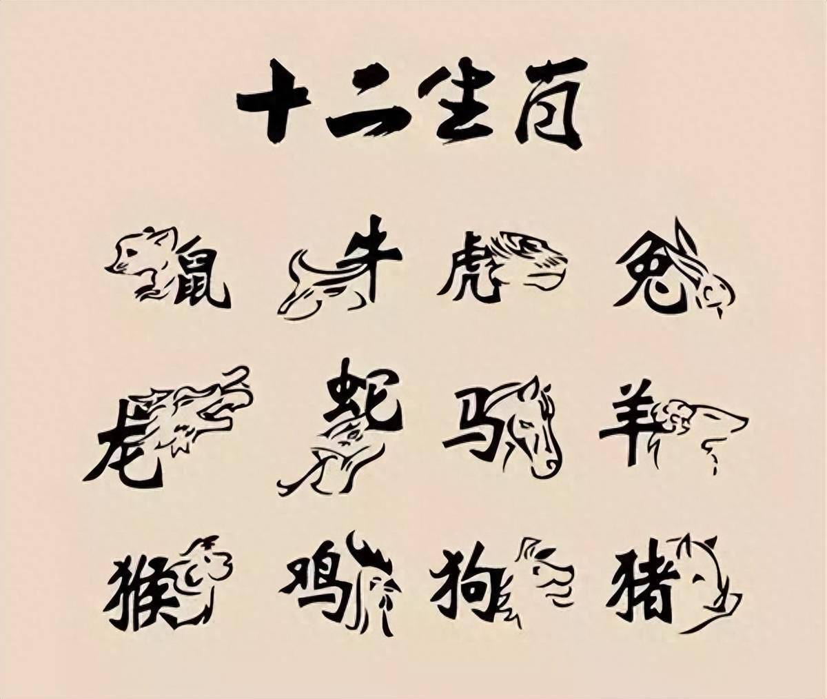 咆哮金虎戏波涛,纷纷后土涂泥甚是什么生肖,警惕虚假宣传落实,科学解答解释落实