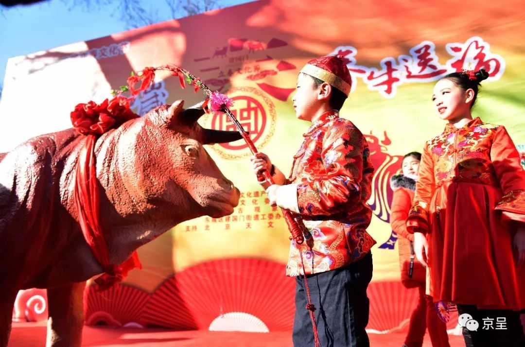 牛来做媒牵红线，把握机遇是三四打一最佳生肖精选解析、解释与落实、构建解答解释落实