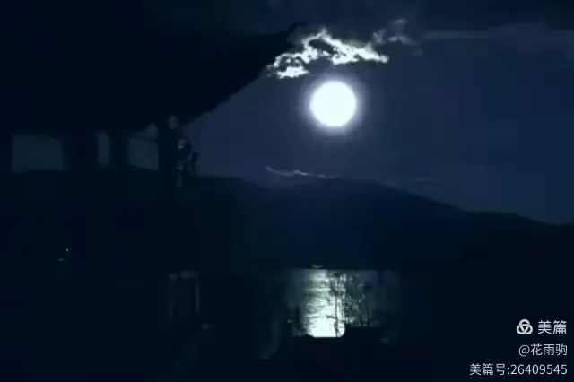 风亭幽月十五晴，云路爷天四十归打一准确生肖，详细解答、深度解答解释落实
