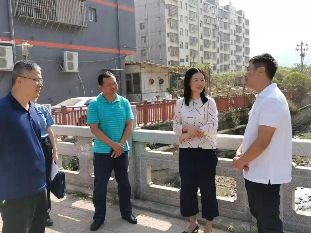 欲钱买一统江山的正确生肖动物,警惕虚假宣传落实,实证解答解释落实