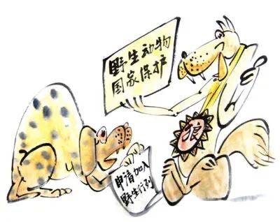 忠贞不渝打一动物生肖与警惕虚假宣传-全面释义、构建解答解释落实