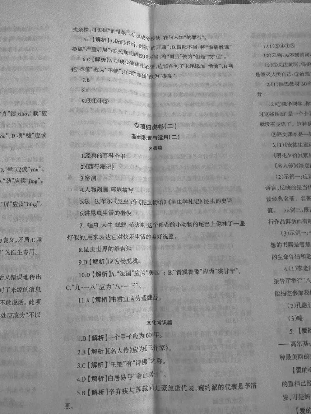 问羊知马是什么生肖警惕虚假宣传、全面解答与解释、构建解答解释落实