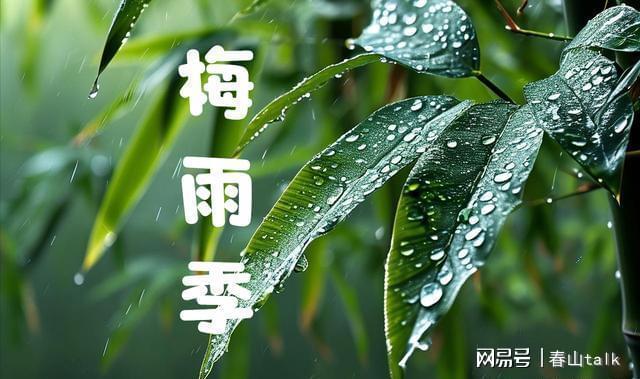 五湖四海唱高歌 梅雨时节三月春打一准确生肖，全面释义、全面解答解释落实