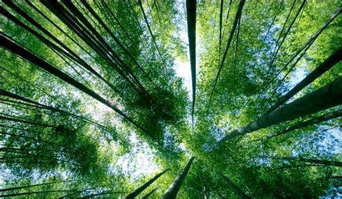 占茅屋白云数间,睡芸窗红日三竿是什么生肖警惕虚假宣传、全面解答与解释、科学解答解释落实
