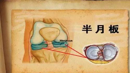 泥猪瓦狗打一准确生肖，详细解答、科学解答解释落实