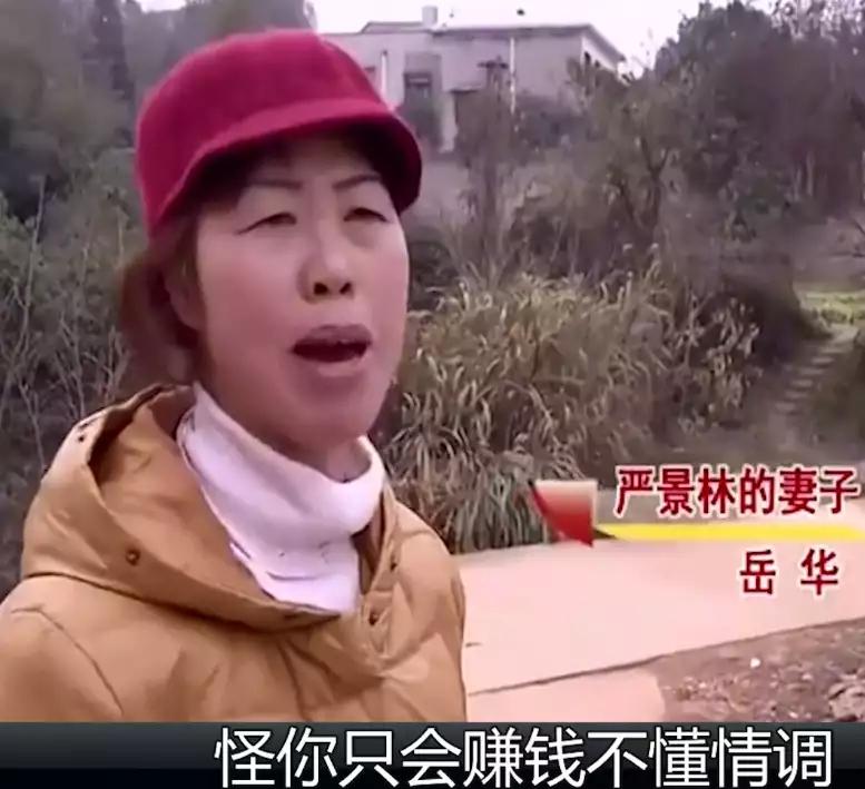 欲謀生計，放手一搏。鸡犬欣欣断玉春打一正确生肖，全面释义、统计解答解释落实
