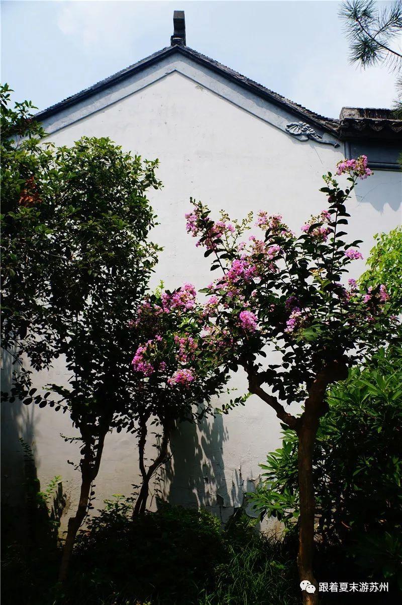 占茅屋白云数间,睡芸窗红日三竿是什么生肖,警惕虚假宣传-全面释义、解释与落实、实时解答解释落实