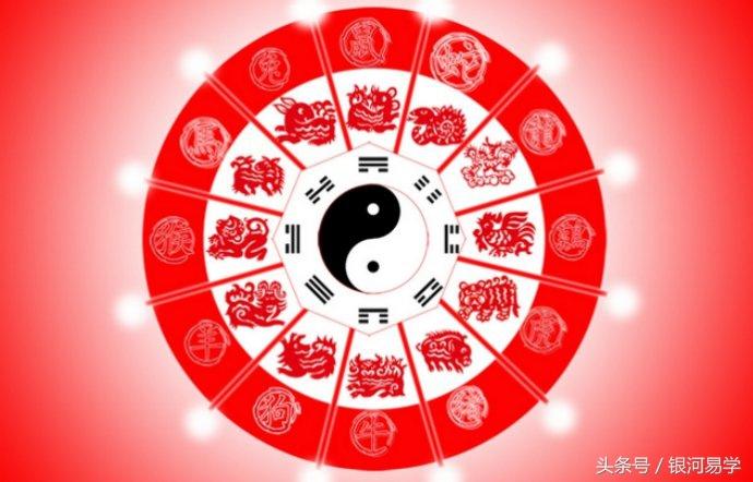十二生肖排第一是什么生肖的全面释义、解释与落实、详细解答解释落实