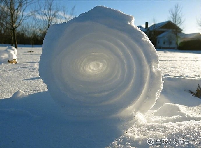 財來就我，如滚雪球。三七馬上中狀元打一准确生肖全面释义、综合解答解释落实