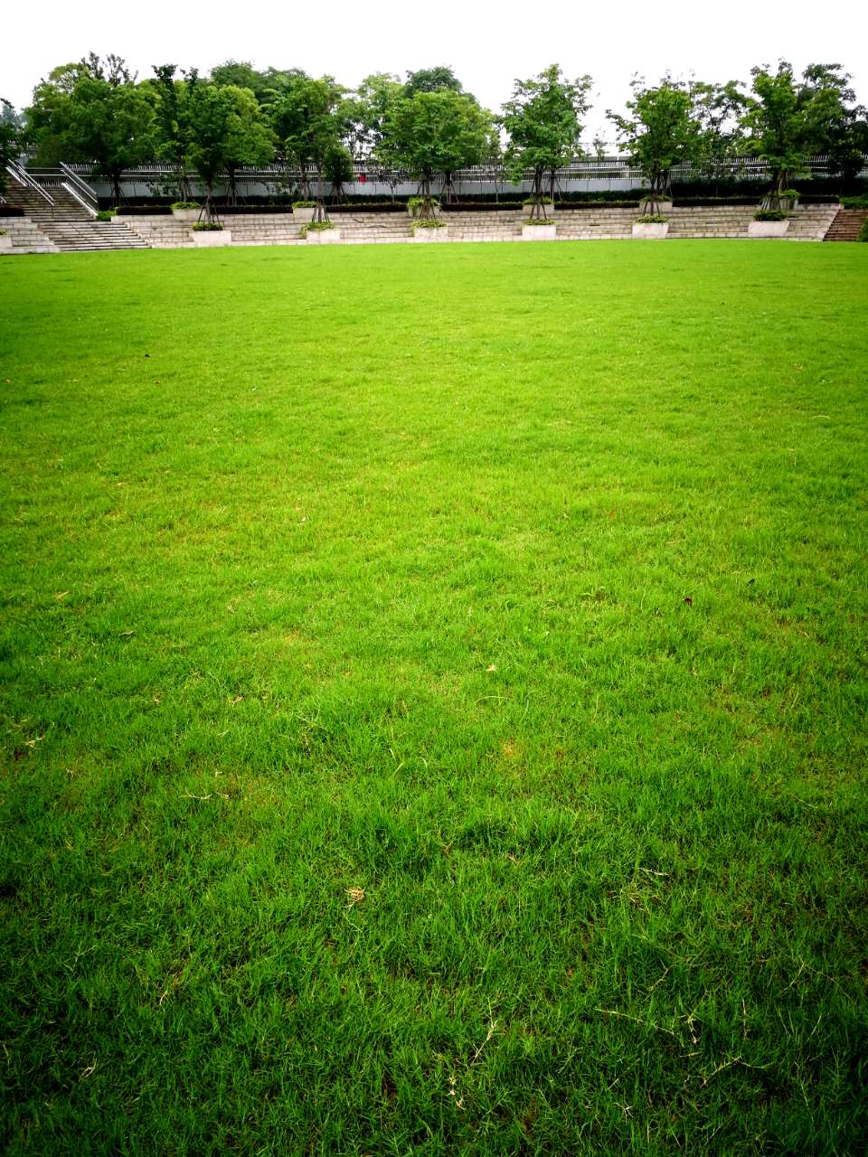 满地绿草绿油油,春暖花开红艳艳是什么生肖,警惕虚假宣传,前沿解答解释落实