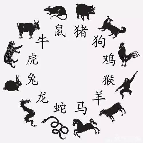 先人后己是指什么生肖详细解答、专家解答解释落实
