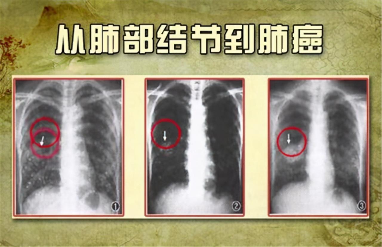 五湖四海唱高歌 梅雨时节三月春打一准确生肖，详细解答、构建解答解释落实