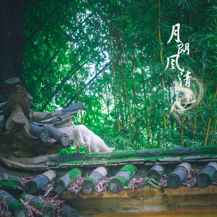 风亭幽月十五晴，云路爷天四十归打一准确生肖，详细解答、深度解答解释落实