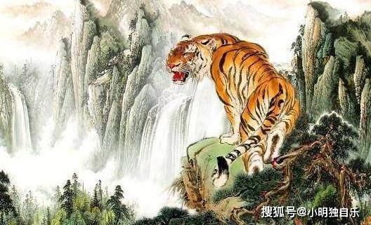欲钱买一统江山的正确生肖动物的全面释义、解释与落实、时代解答解释落实
