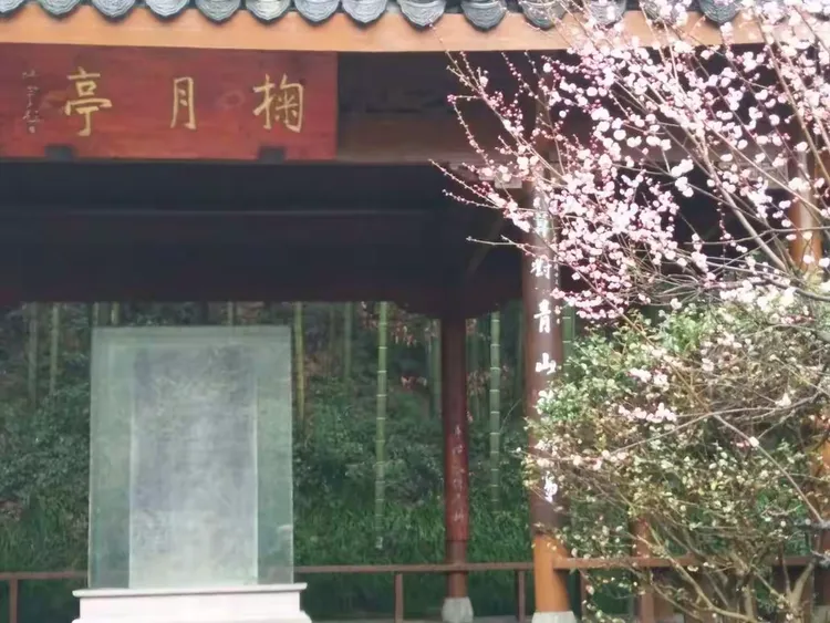 风亭幽月十五晴，云路爷天四十归打一准确生肖仔细释义、解释与落实、构建解答解释落实