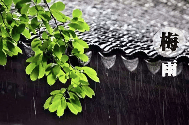五湖四海唱高歌 梅雨时节三月春打一准确生肖的警惕虚假宣传-全面释义、构建解答解释落实