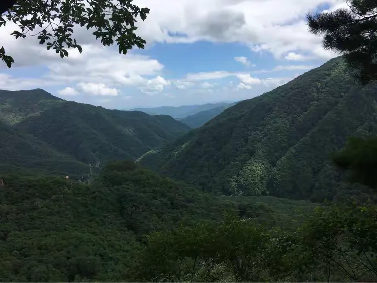 山外有山，人外有人。雨晴满川花草新打一正确生肖的警惕虚假宣传-全面释义、解释与落实、统计解答解释落实