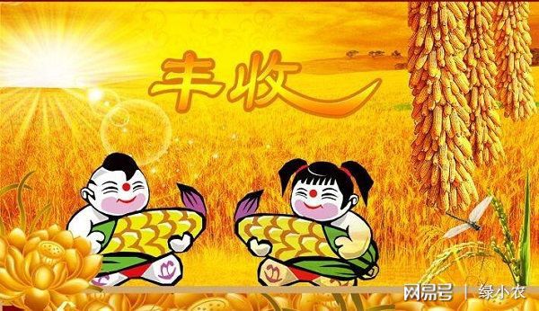 本期生肖三六开，五谷丰登庆升平打一准确生肖详细解答、定量解答解释落实