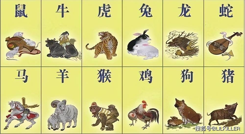 梁上君子真功夫十二生肖排第一是什么生肖的警惕虚假宣传-深度解答解释落实