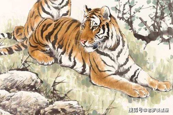 南山猴兴北山虎五九其间发大财城上花开八月原文解一肖的警惕虚假宣传-详细解答解释落实