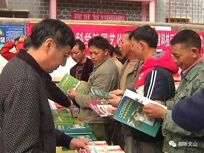 咆哮金虎戏波涛,纷纷后土涂泥甚是什么生肖,警惕虚假宣传,深度解答解释落实