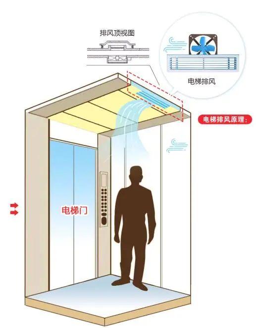 四王下山管天下打一准确生肖，详细解答、详细解答解释落实