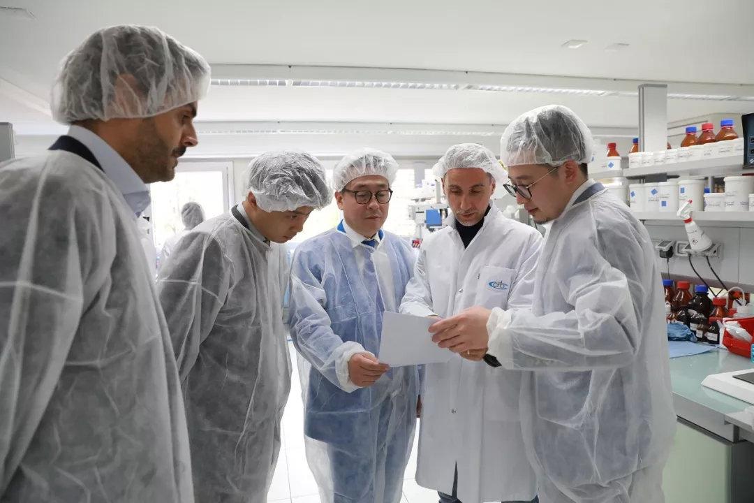 心乱如麻打一准确生肖,警惕虚假宣传,前沿解答解释落实