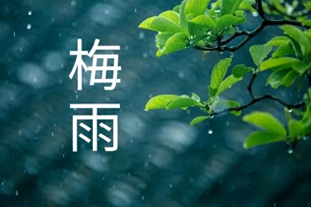 五湖四海唱高歌 梅雨时节三月春打一准确生肖详细解答、构建解答解释落实