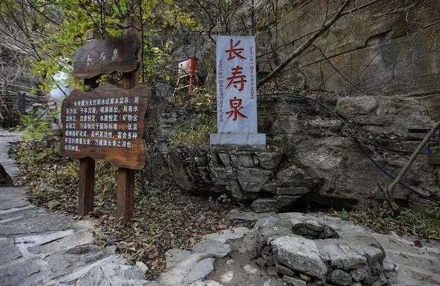 四王下山管天下打一准确生肖,警惕虚假宣传落实,构建解答解释落实