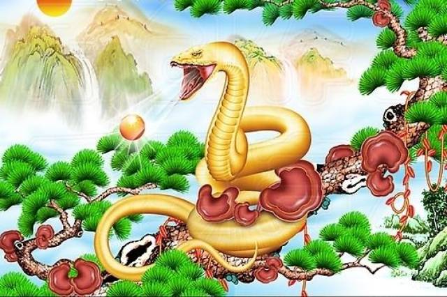 羊前蛇到龙中间有八有六要发财指什么生肖,警惕虚假宣传,专家解答解释落实