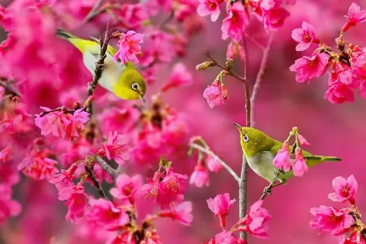 满地绿草绿油油,春暖花开红艳艳是什么生肖,警惕虚假宣传、全面解答、精准解答解释落实
