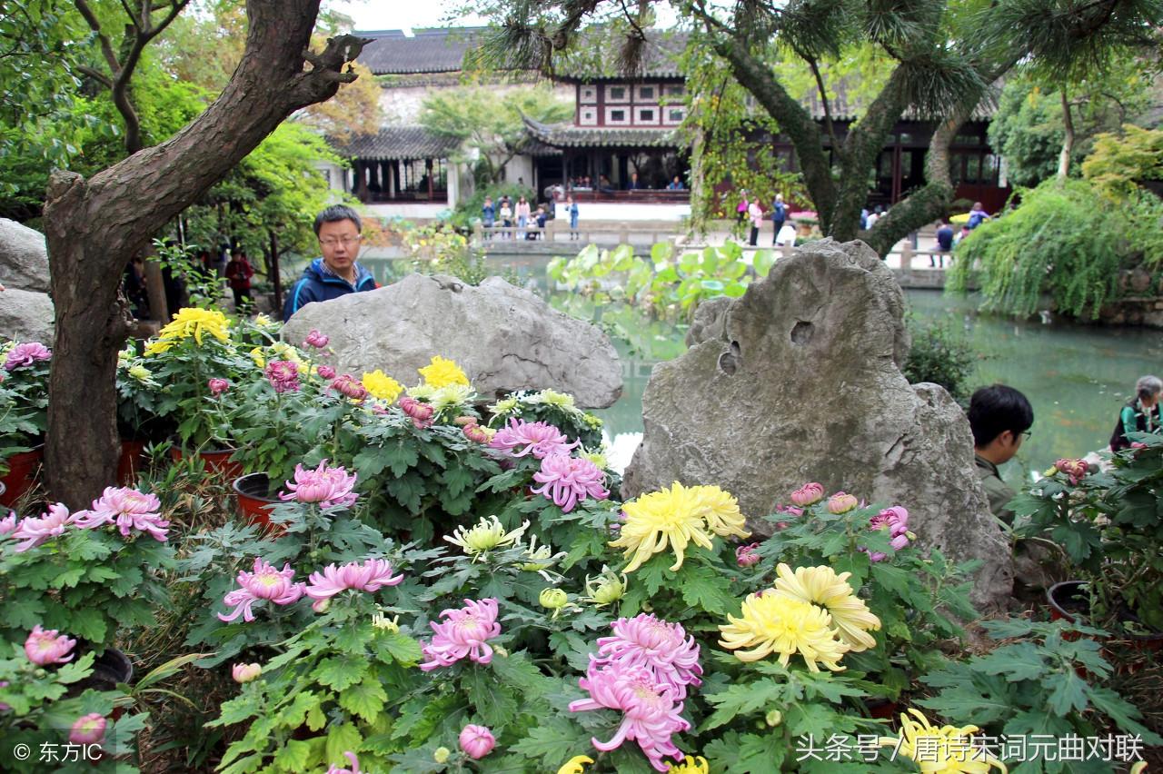 蜡烛有心还惜别替人垂泪到天明打一生肖的全面释义、解释与落实、统计解答解释落实