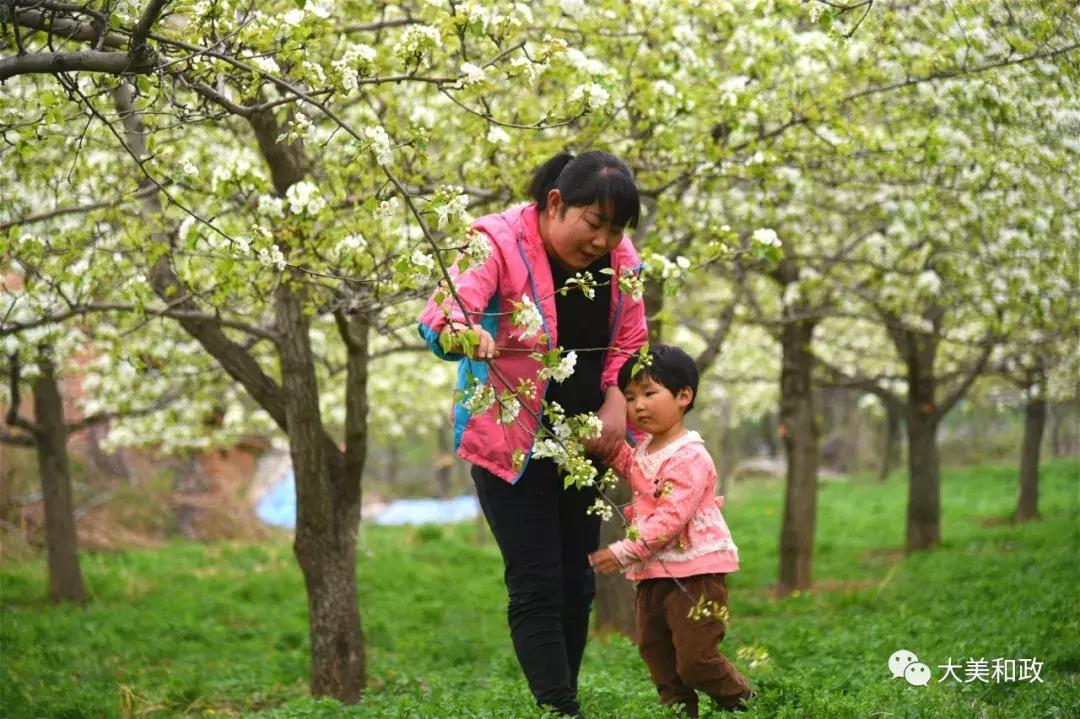 满地绿草绿油油,春暖花开红艳艳是什么生肖仔细释义、解释与落实、时代解答解释落实