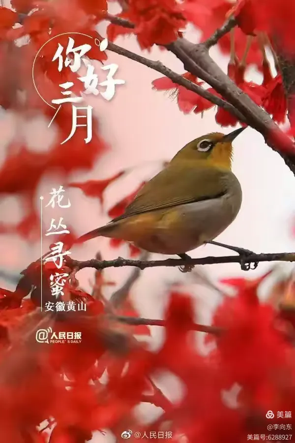 满地绿草绿油油,春暖花开红艳艳是什么生肖警惕虚假宣传、全面解答与解释、全面解答解释落实
