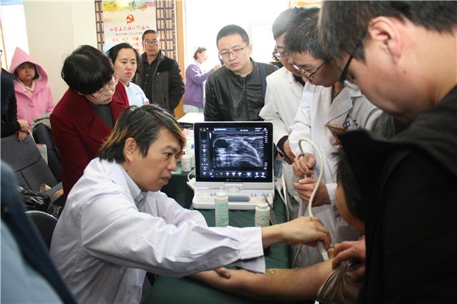 双双燕子飞春岸三七马上中状元是什么生肖,警惕虚假宣传落实,实证解答解释落实