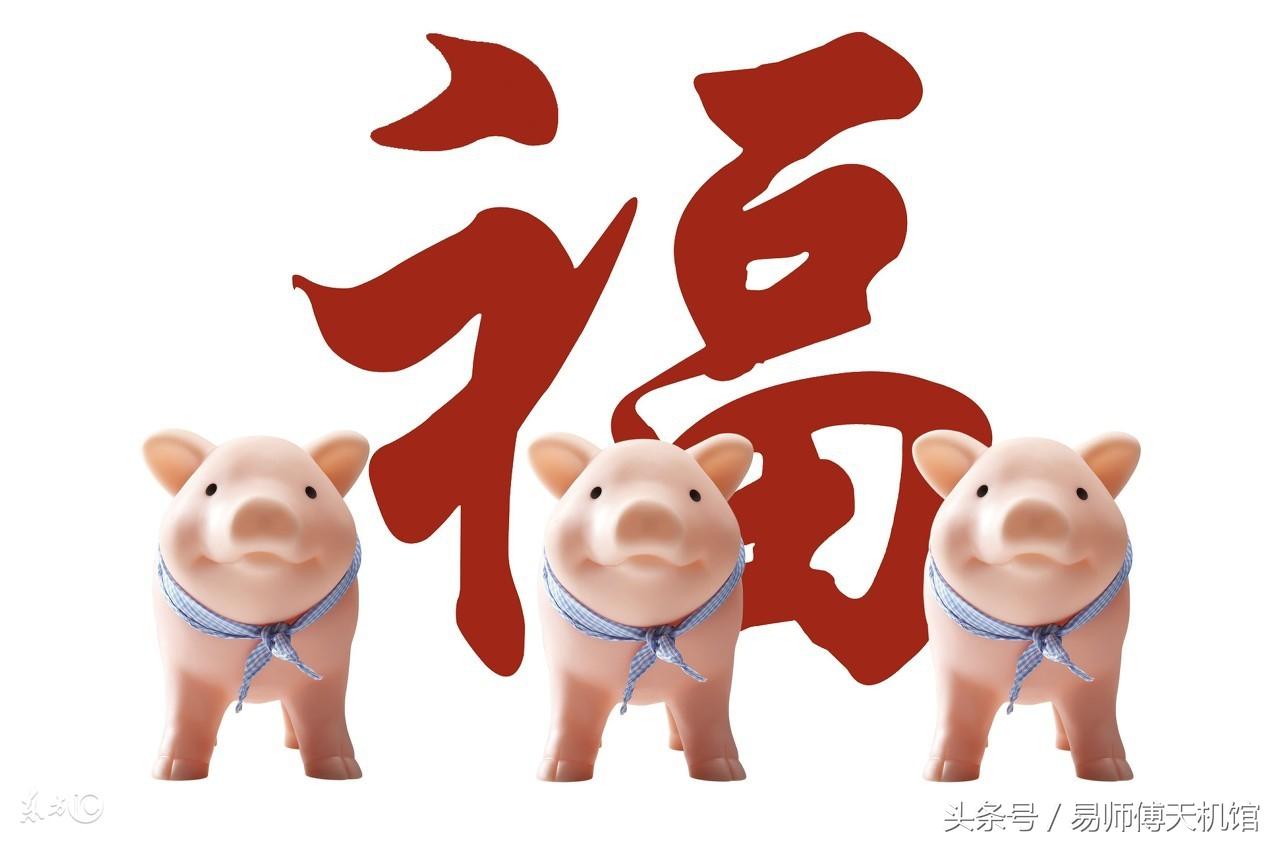 忠贞不渝打一动物生肖,警惕虚假宣传落实,定量解答解释落实