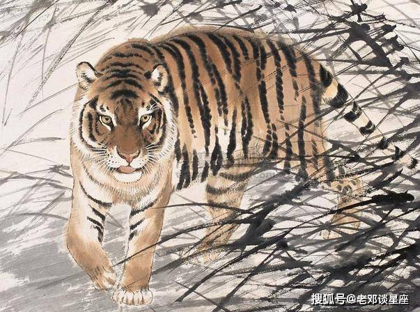 南山猴兴北山虎五九其间发大财城上花开八月原文解一肖详细解答、统计解答解释落实